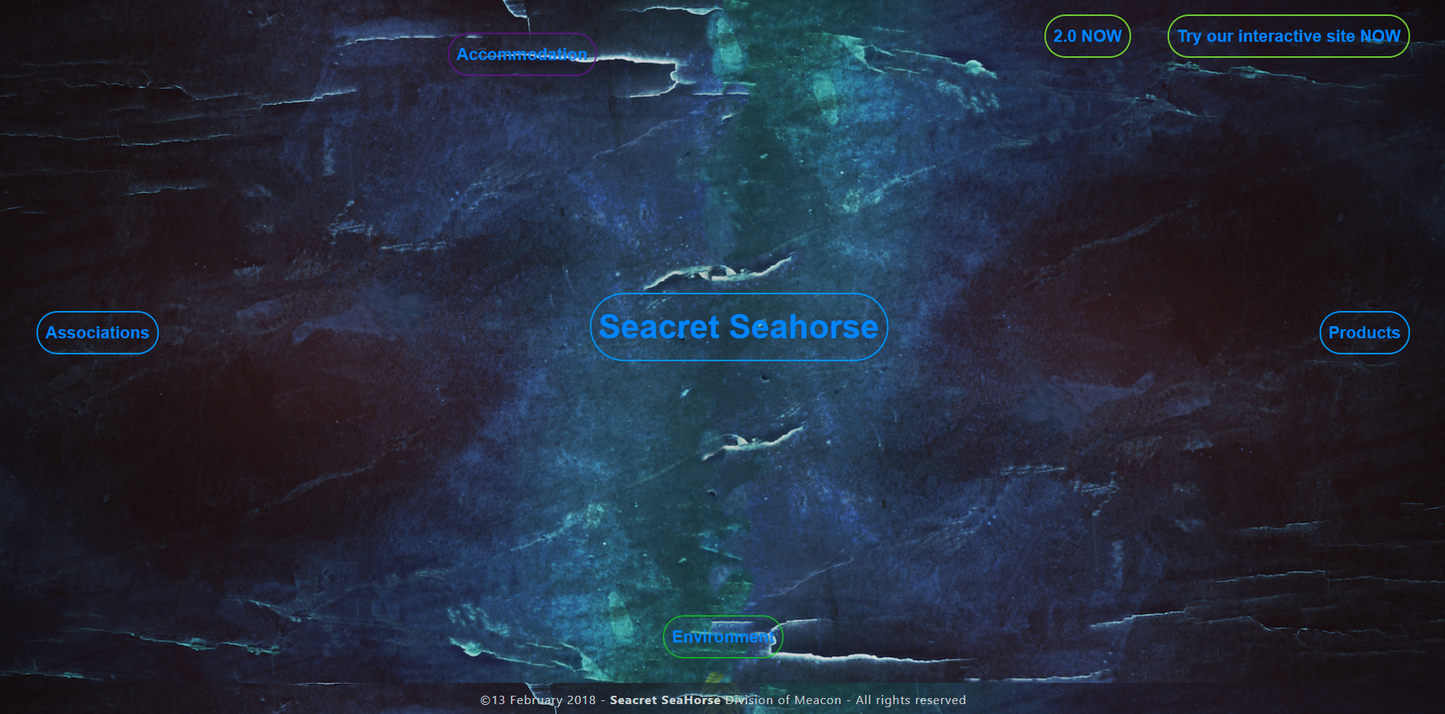 Website Design